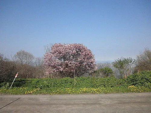 Vandrarhem Abashiri Ryuhyou No Oka Guesthouse